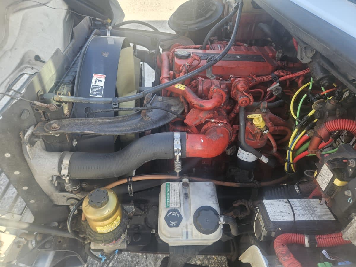 2019 Freightliner/Mercedes M2 106 830650