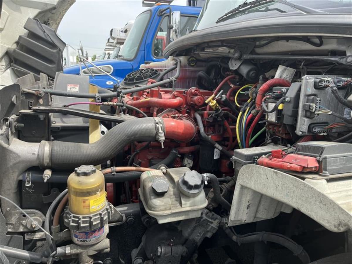 2019 Freightliner/Mercedes M2 106 830679