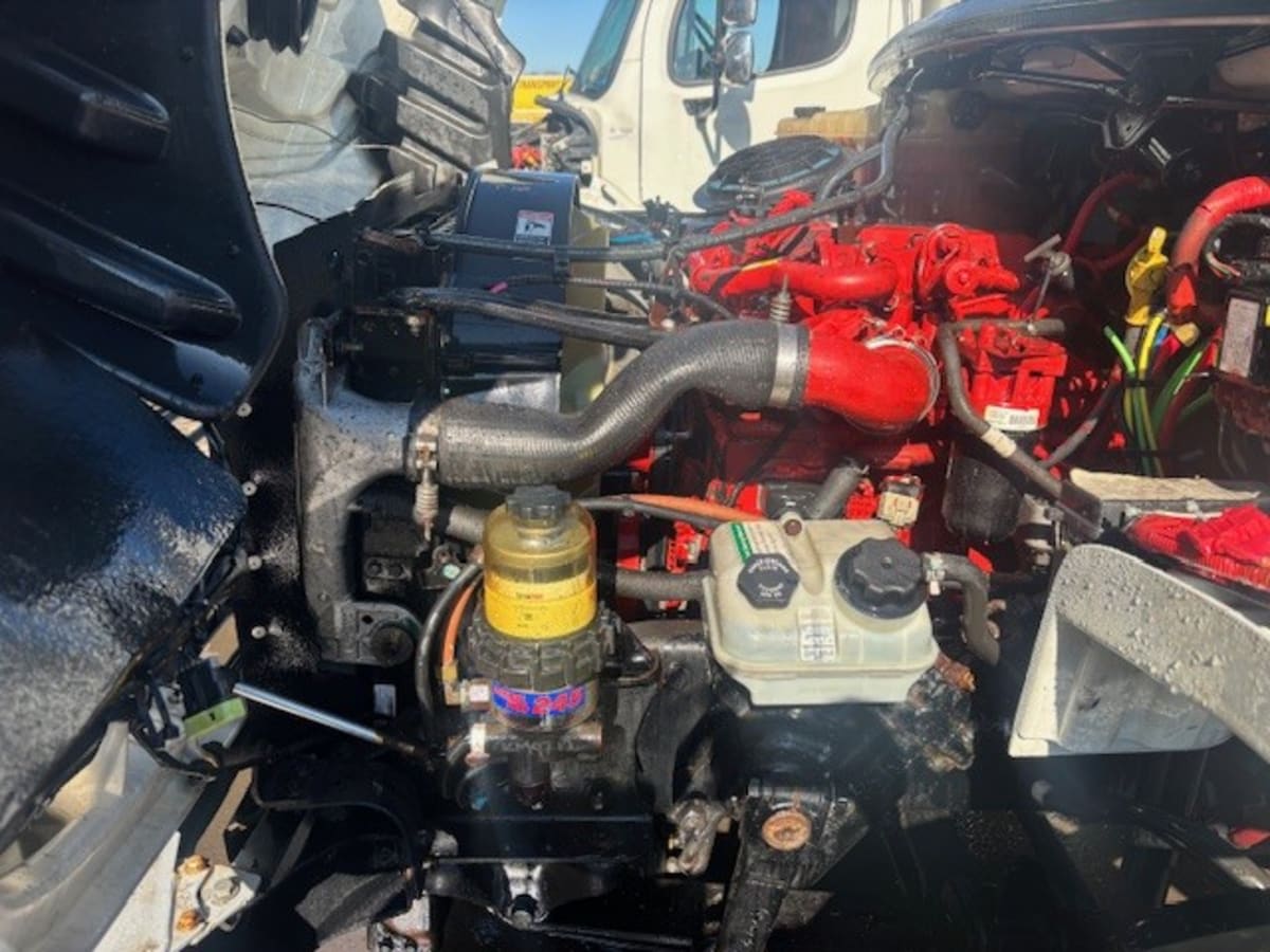 2019 Freightliner/Mercedes M2 106 831372