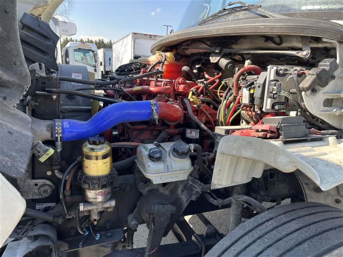 2019 Freightliner/Mercedes M2 106 831379