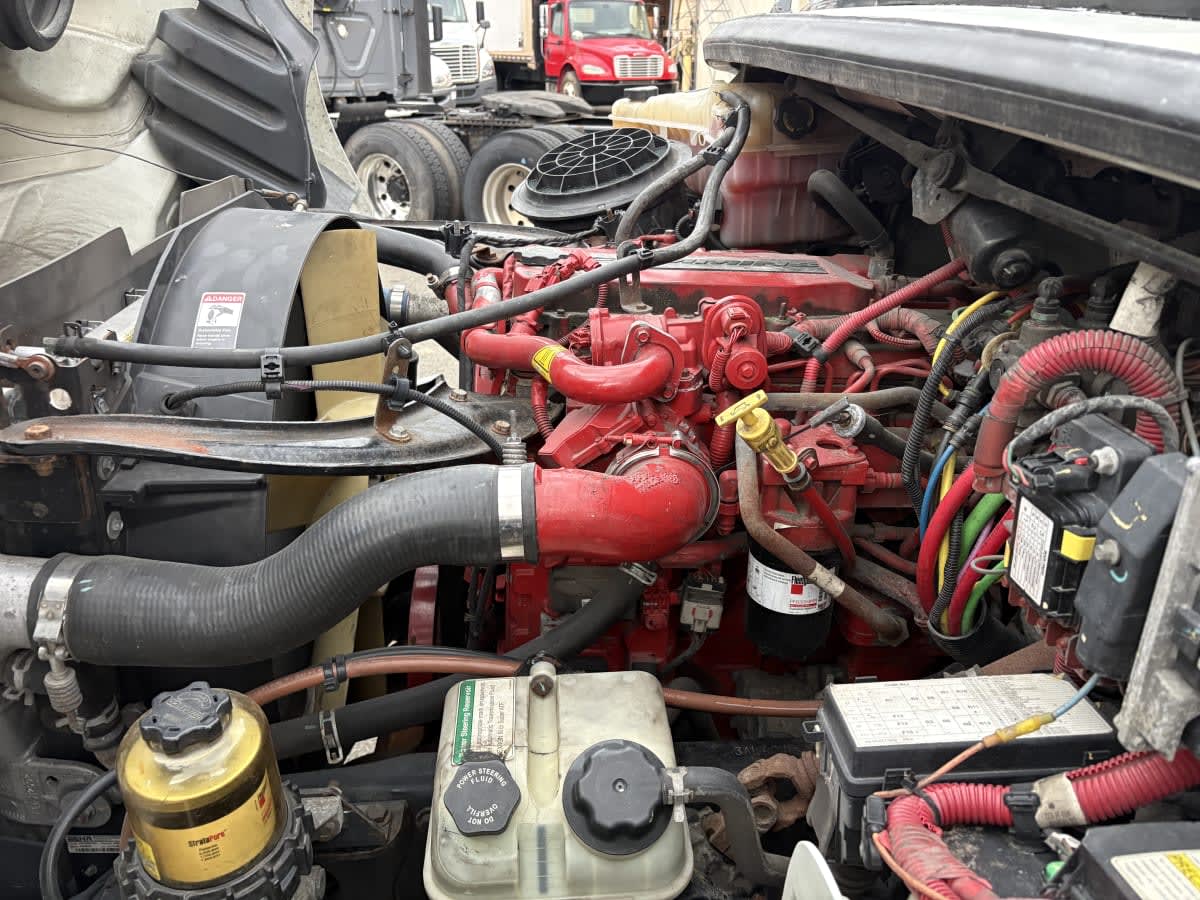 2019 Freightliner/Mercedes M2 106 831520