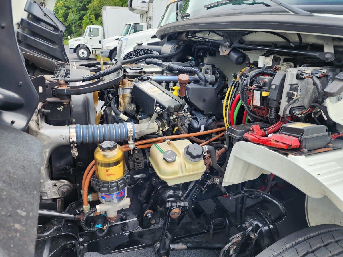 2019 Freightliner/Mercedes M2 106 831696