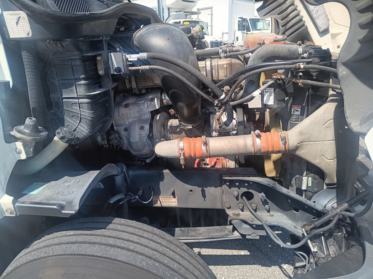 2019 Freightliner - image 29