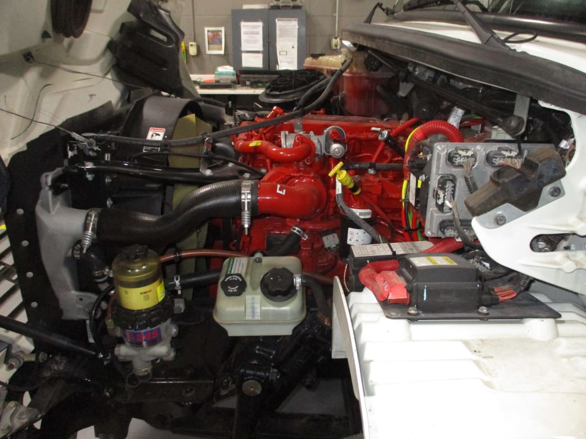 2019 Freightliner/Mercedes M2 106 833728