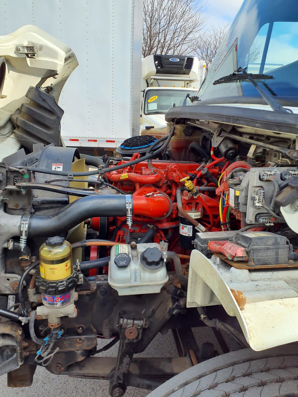 2019 Freightliner/Mercedes M2 106 833810