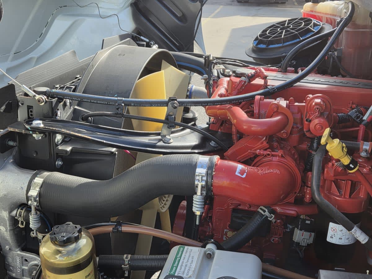 2019 Freightliner/Mercedes M2 106 833854