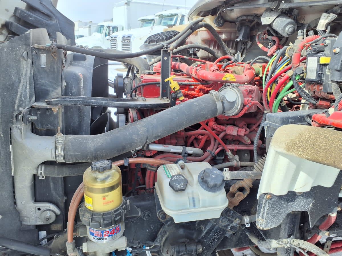 2019 Freightliner/Mercedes M2 106 834792