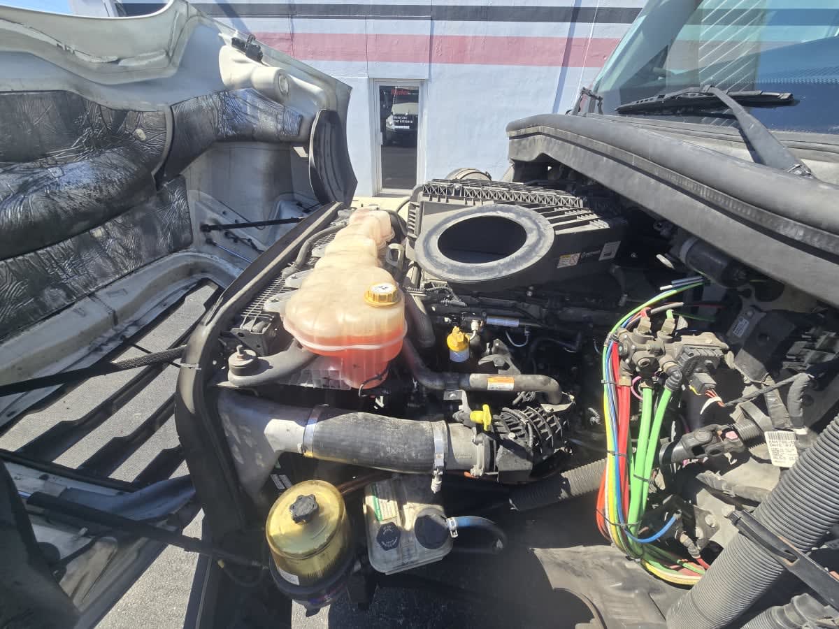 2019 Freightliner - image 8