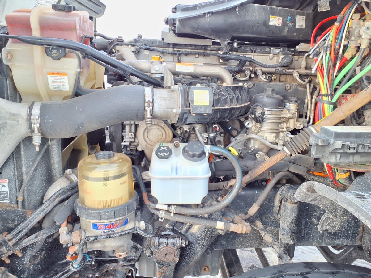 2019 Freightliner/Mercedes CASCADIA 125 835940