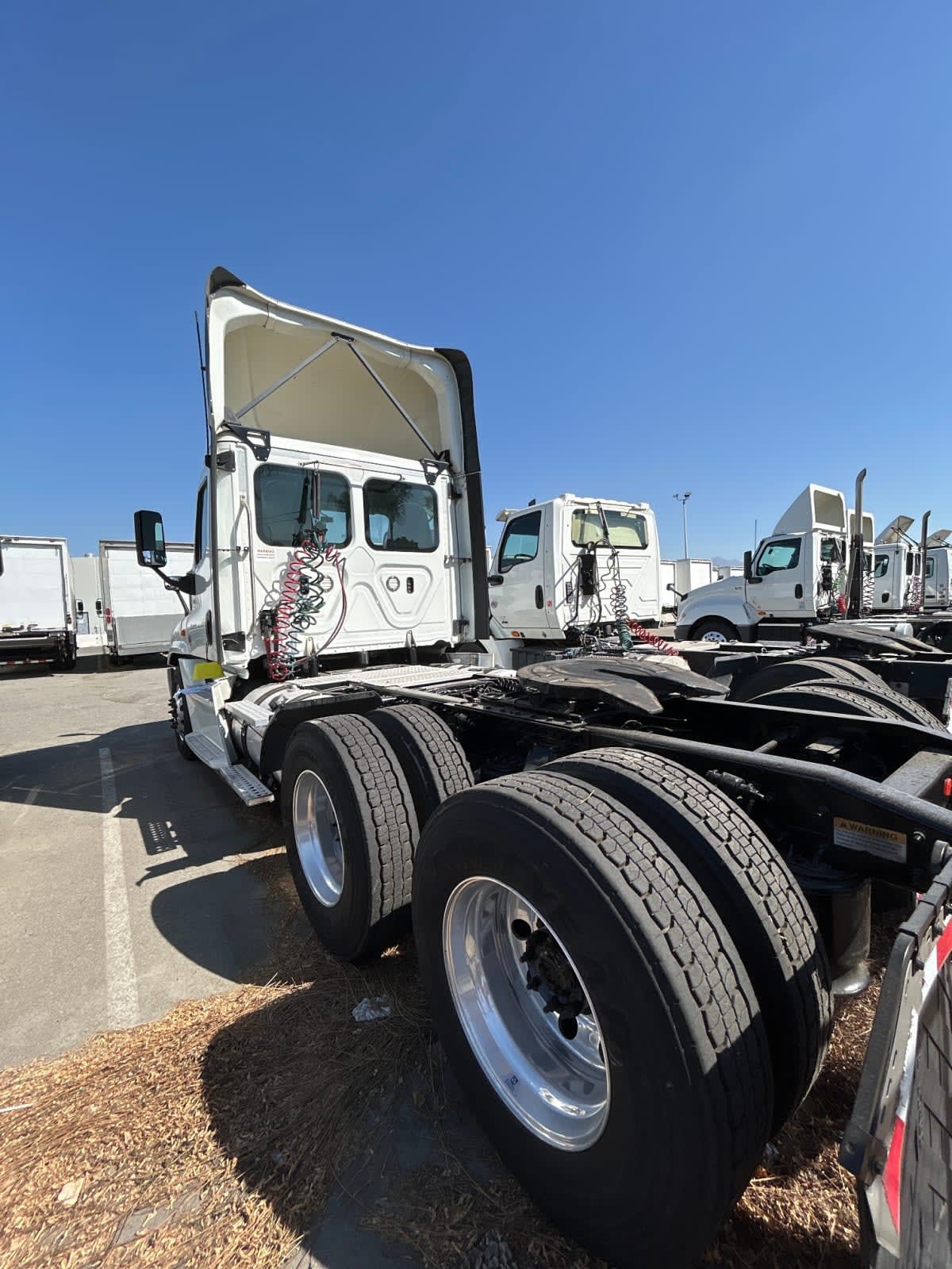2019 Freightliner CASCADIA 125 837328