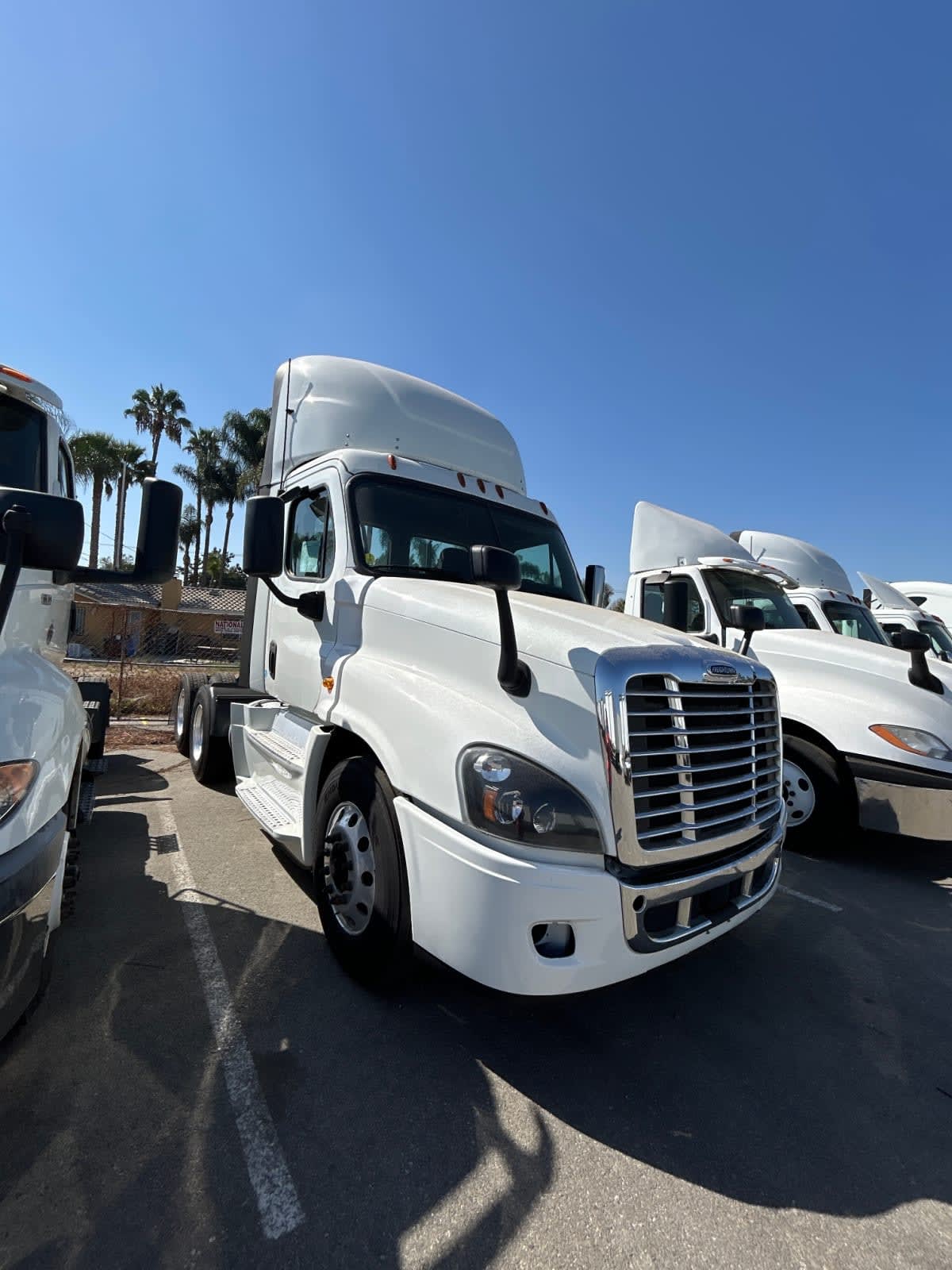 2019 Freightliner CASCADIA 125 837328 2019 Freightliner CASCADIA 125 837328