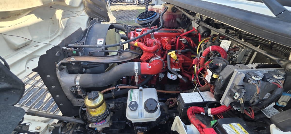 2019 Freightliner/Mercedes M2 106 837401