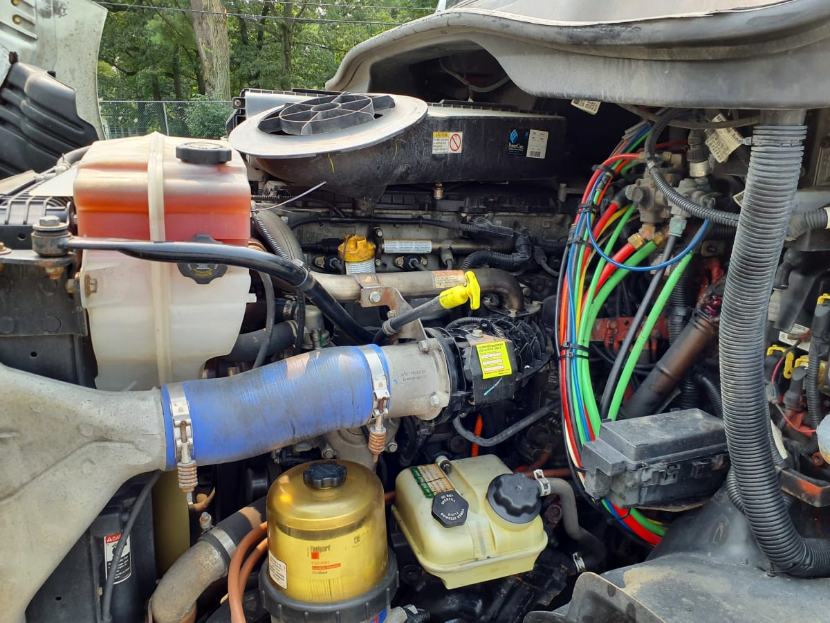 2019 Freightliner/Mercedes CASCADIA 113 837444