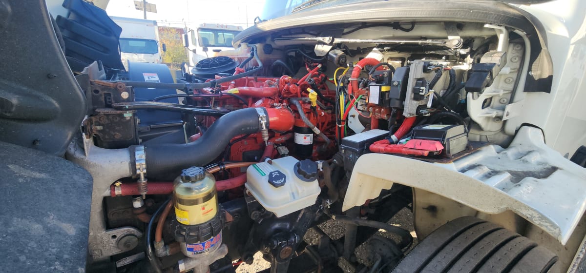 2019 Freightliner/Mercedes M2 106 837478