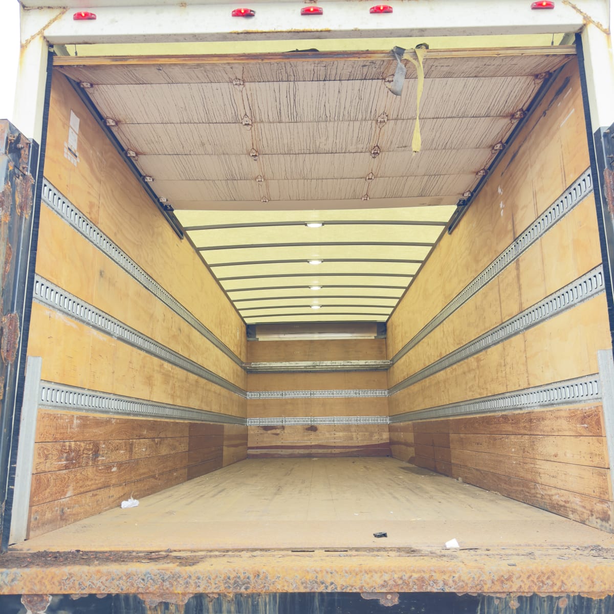 2019 Freightliner/Mercedes M2 106 839564