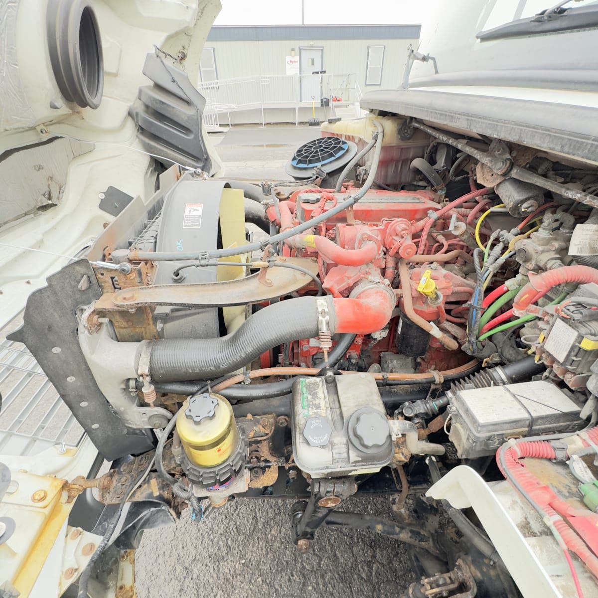 2019 Freightliner/Mercedes M2 106 839564