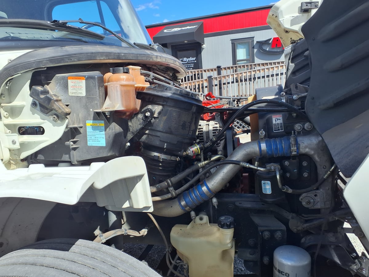 2019 Freightliner/Mercedes M2 106 839718