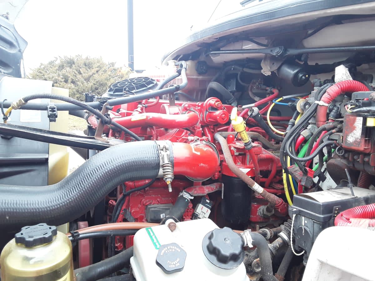 2019 Freightliner/Mercedes M2 106 841252