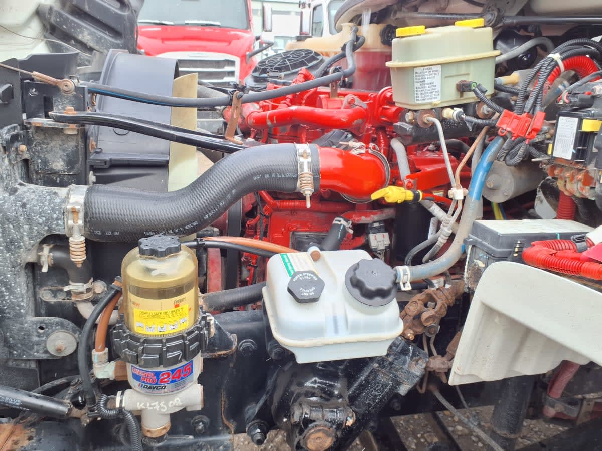 2019 Freightliner/Mercedes M2 106 841375