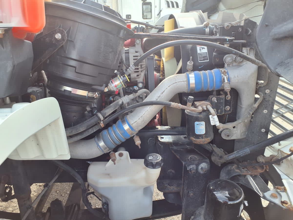 2019 Freightliner/Mercedes M2 106 841376