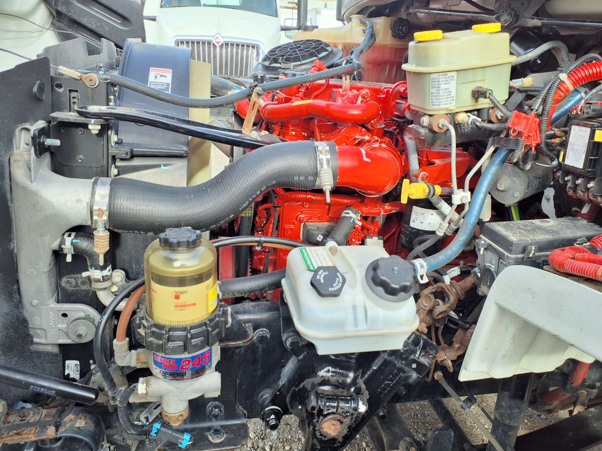 2019 Freightliner/Mercedes M2 106 841376