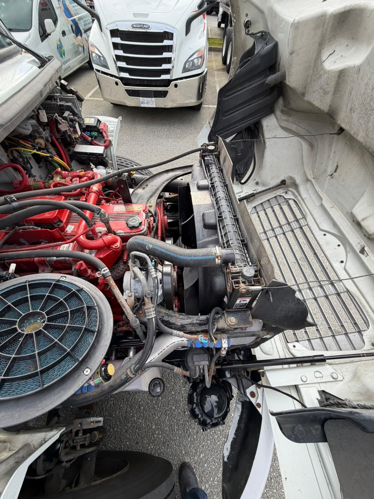 2019 Freightliner/Mercedes M2 106 841774