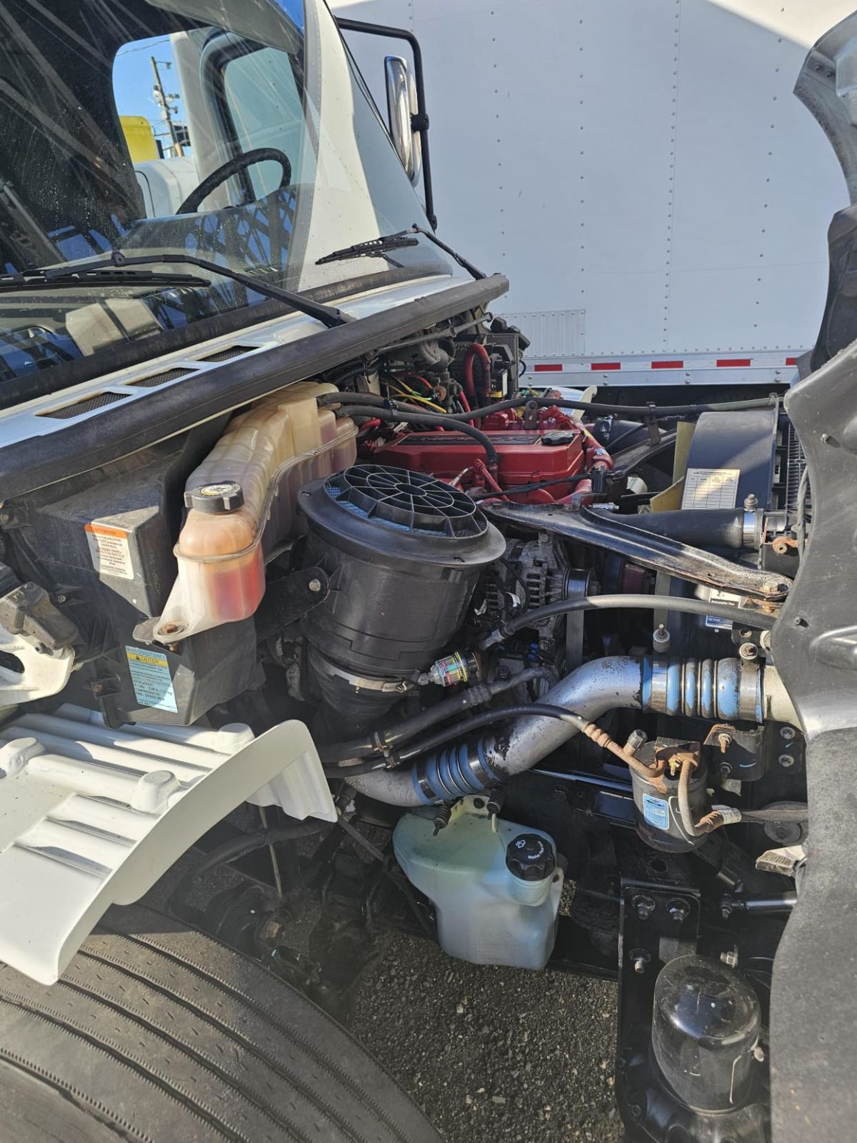 2019 Freightliner/Mercedes M2 106 841775