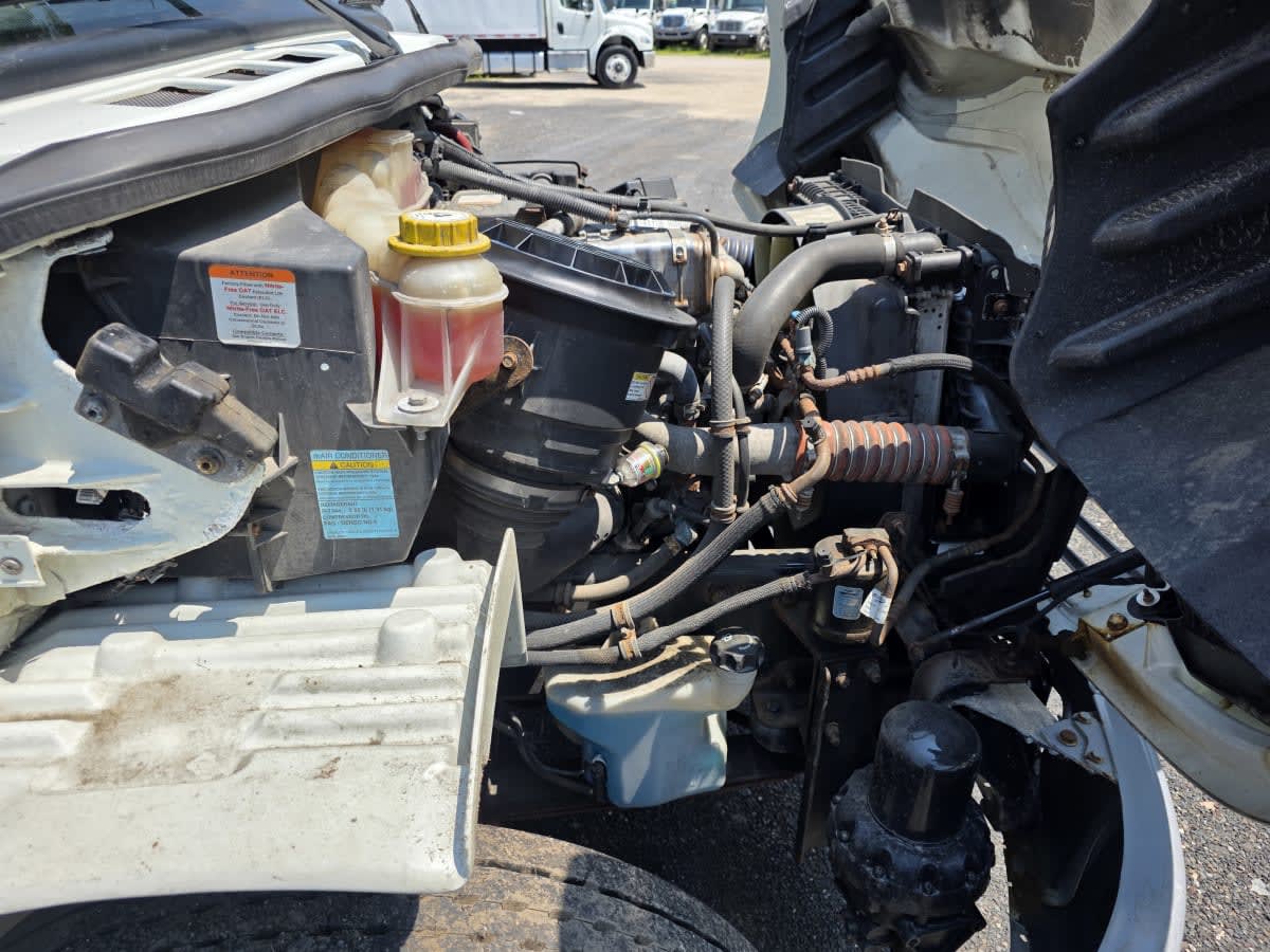2019 Freightliner/Mercedes M2 106 849250