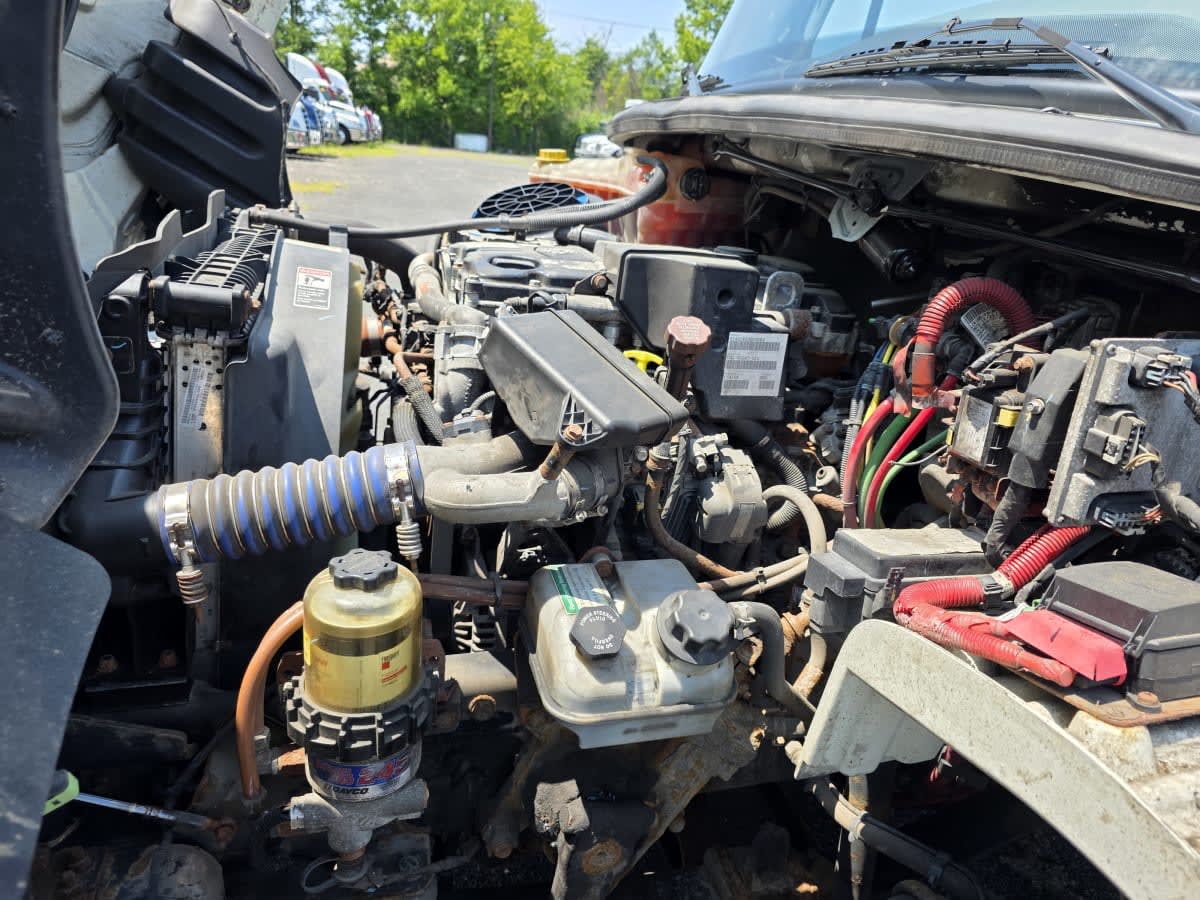 2019 Freightliner/Mercedes M2 106 849250