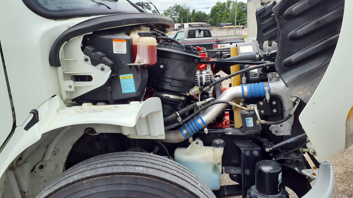 2019 Freightliner/Mercedes M2 106 850799