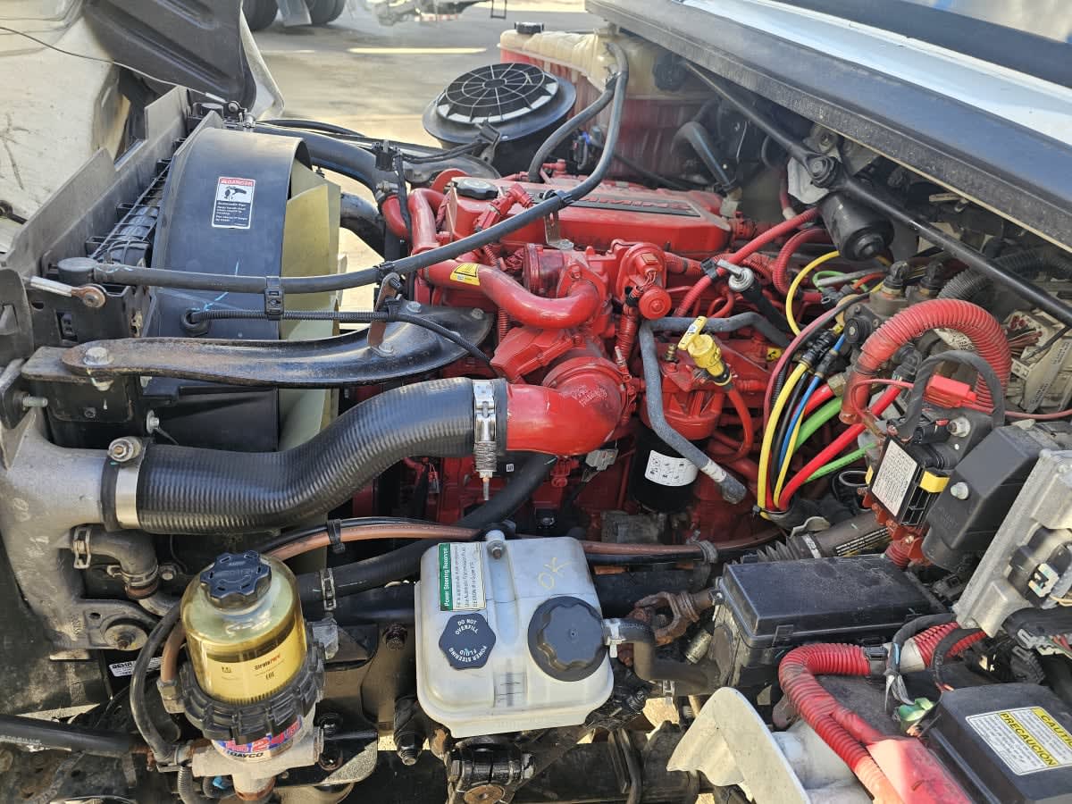 2019 Freightliner/Mercedes M2 106 860631