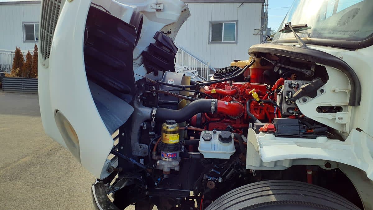 2019 Freightliner/Mercedes M2 106 860635