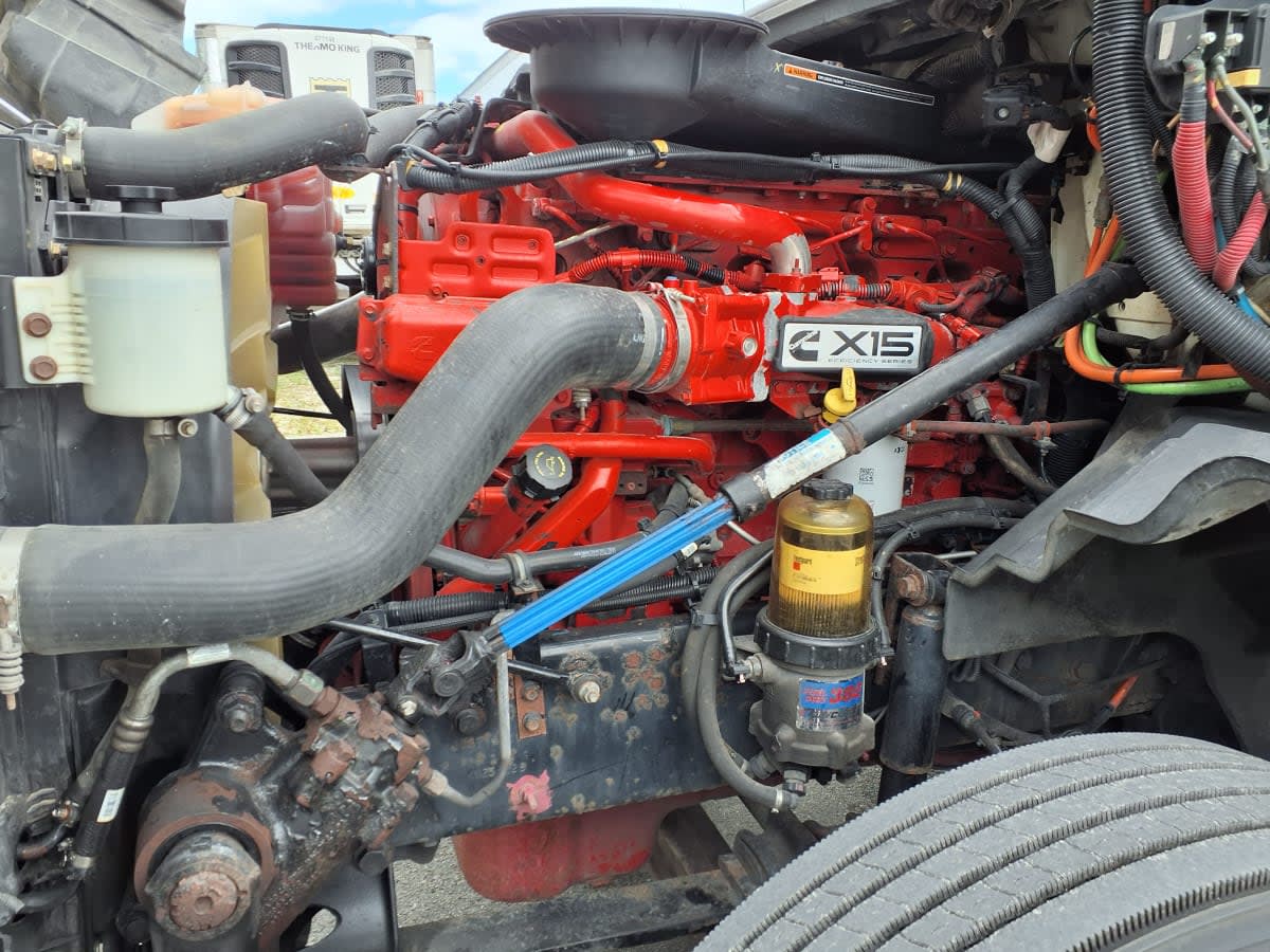 2019 International - image 9