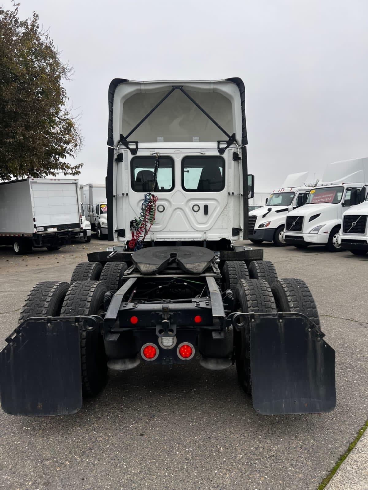 2019 Freightliner - image 5