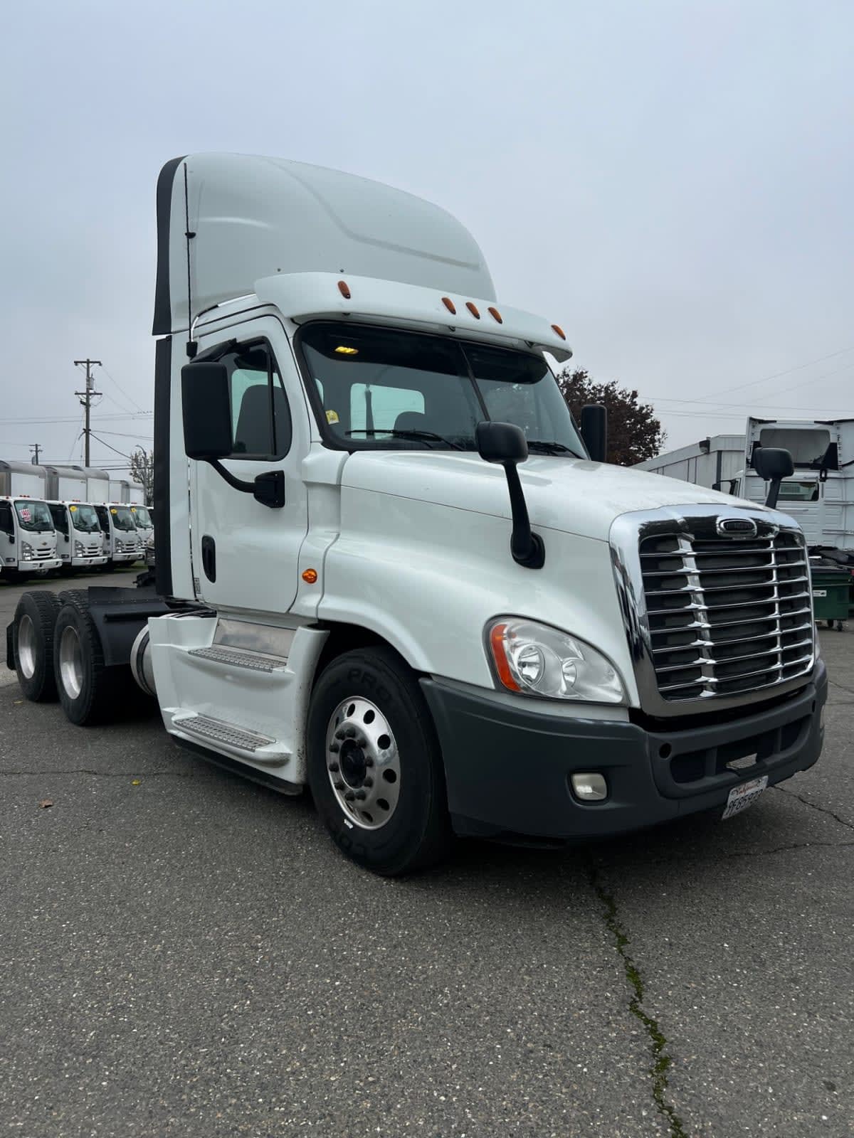 2019 Freightliner - image 3