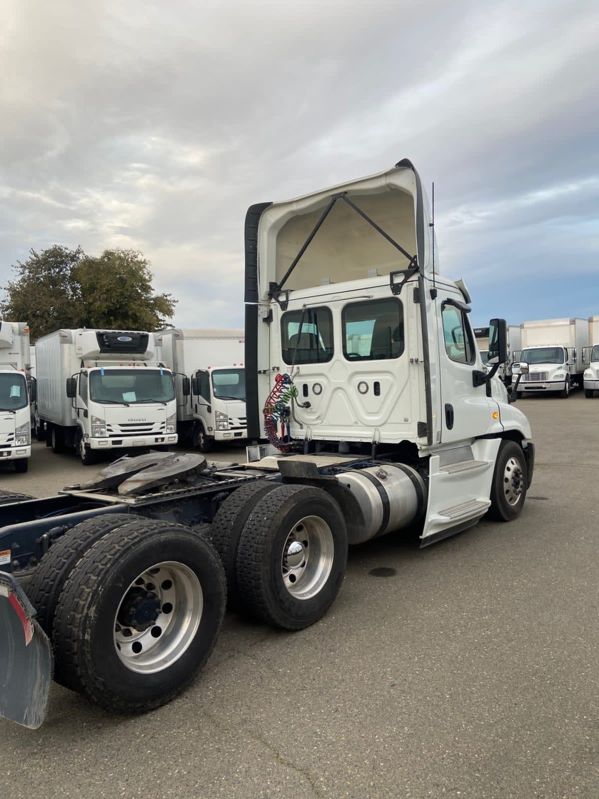2019 Freightliner - image 4