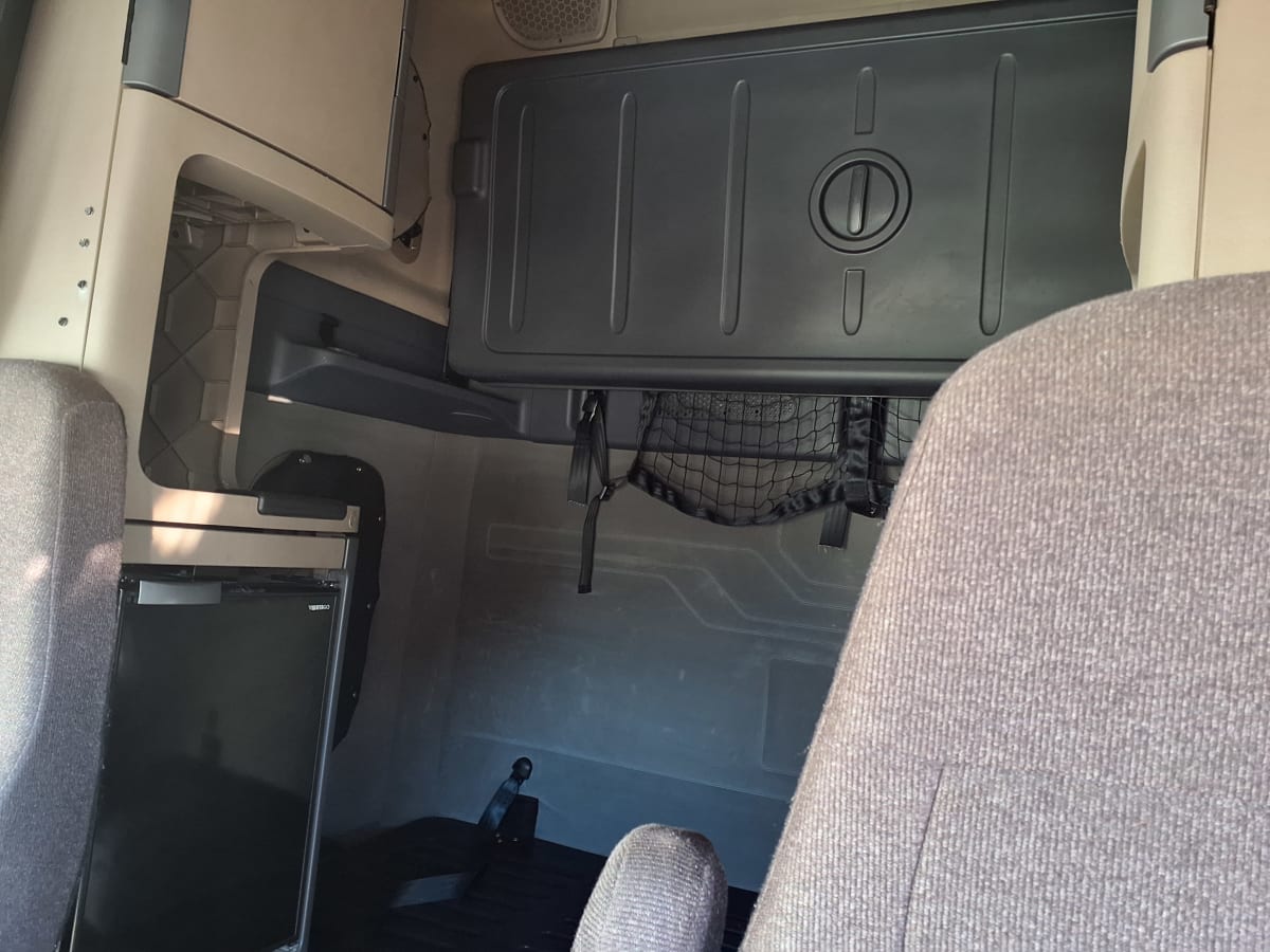 2019 Freightliner/Mercedes CASCADIA 125 861424