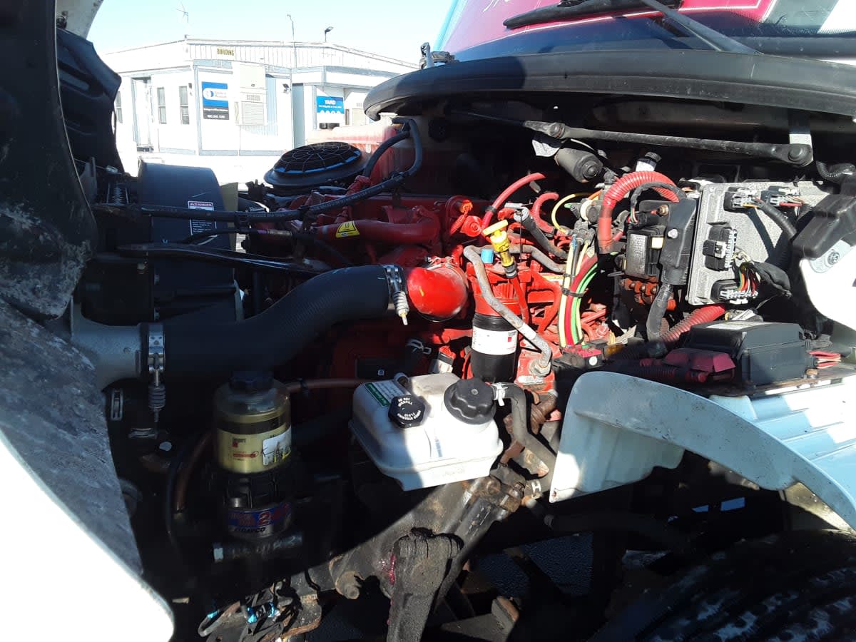 2019 Freightliner/Mercedes M2 106 861563