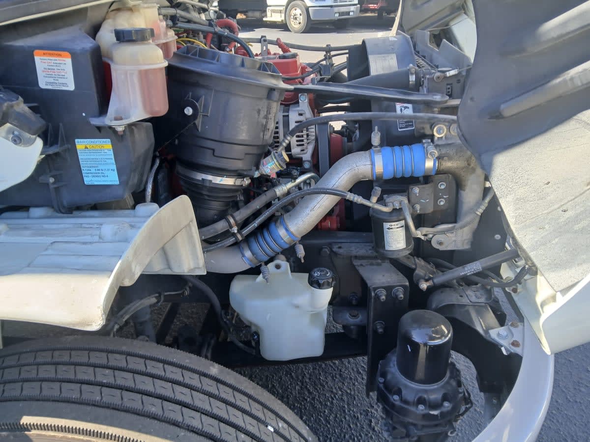 2019 Freightliner/Mercedes M2 106 861735