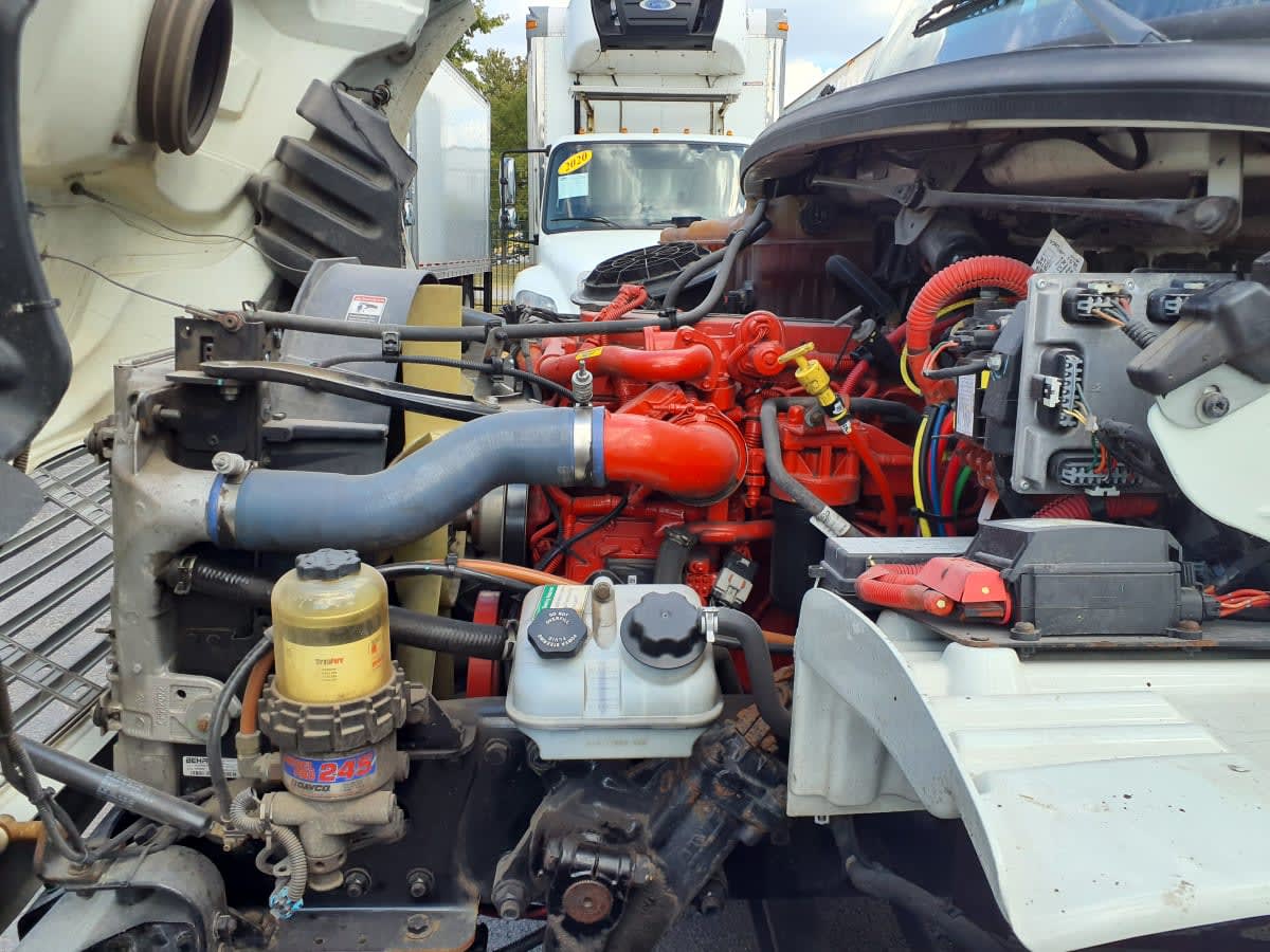 2019 Freightliner/Mercedes M2 106 861848