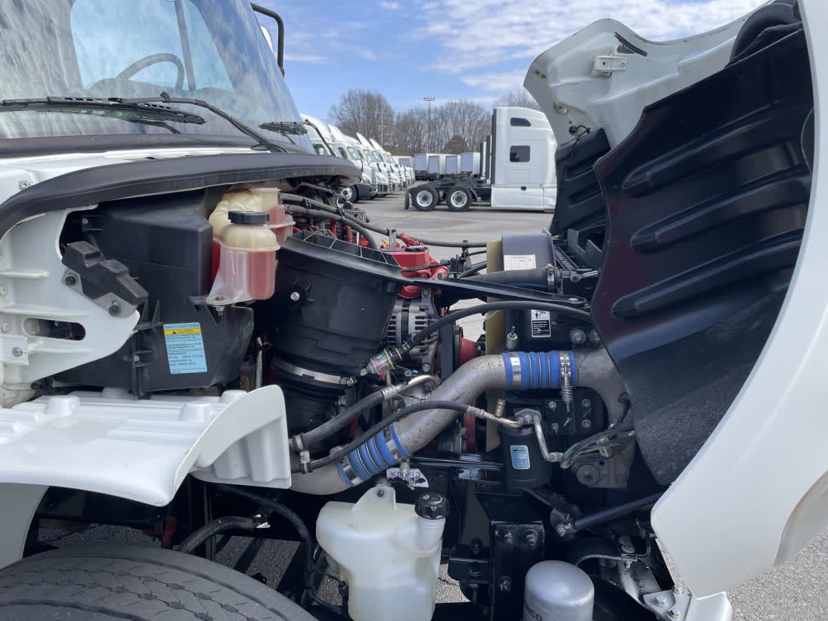 2019 Freightliner/Mercedes M2 106 861868