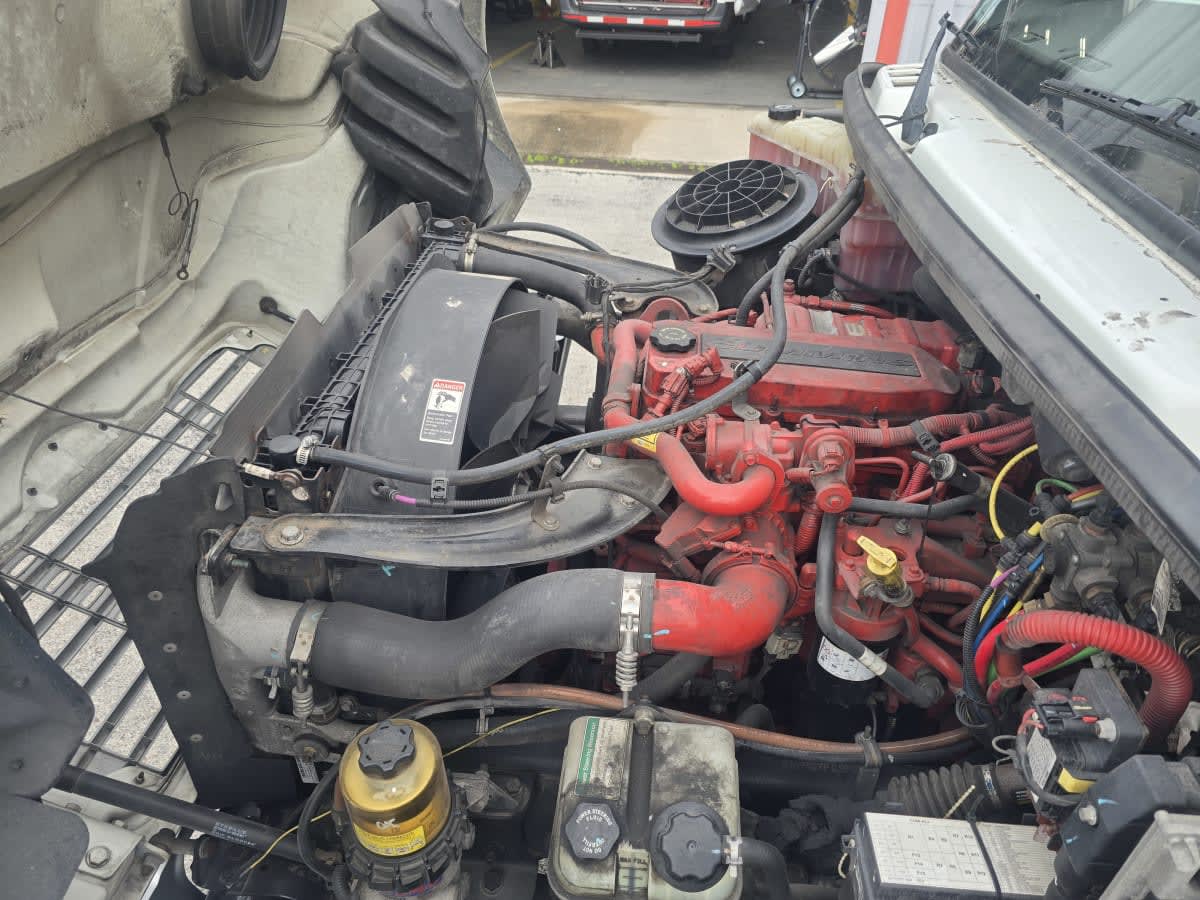 2019 Freightliner/Mercedes M2 106 861875