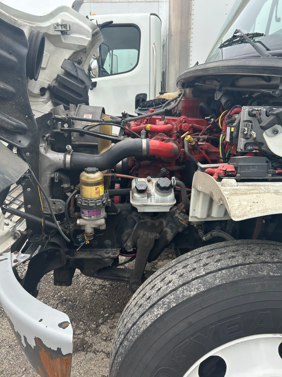 2019 Freightliner/Mercedes M2 106 861898