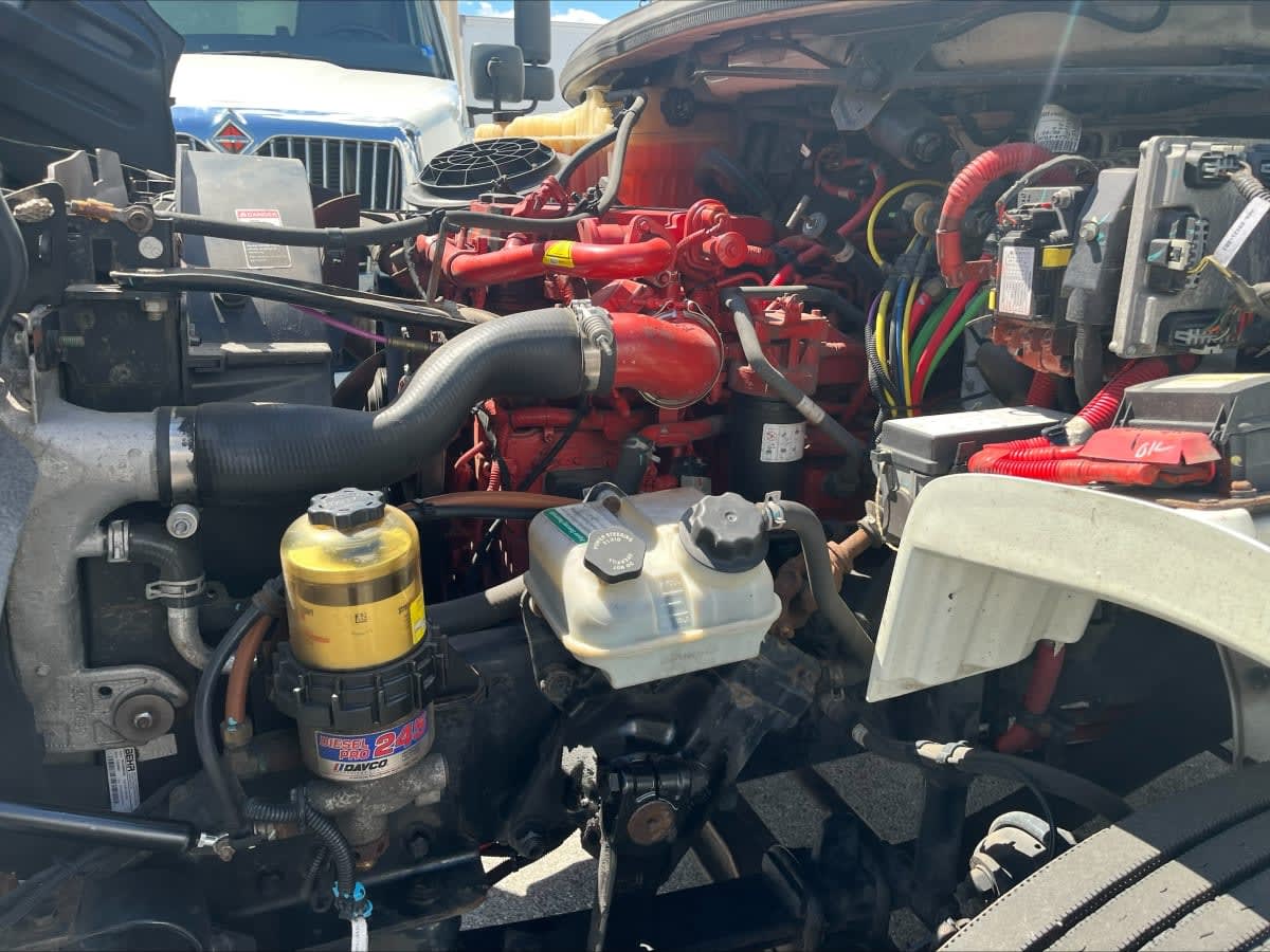 2019 Freightliner/Mercedes M2 106 861975
