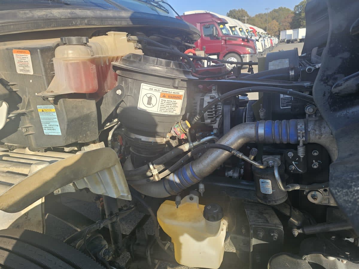 2019 Freightliner/Mercedes M2 106 861981