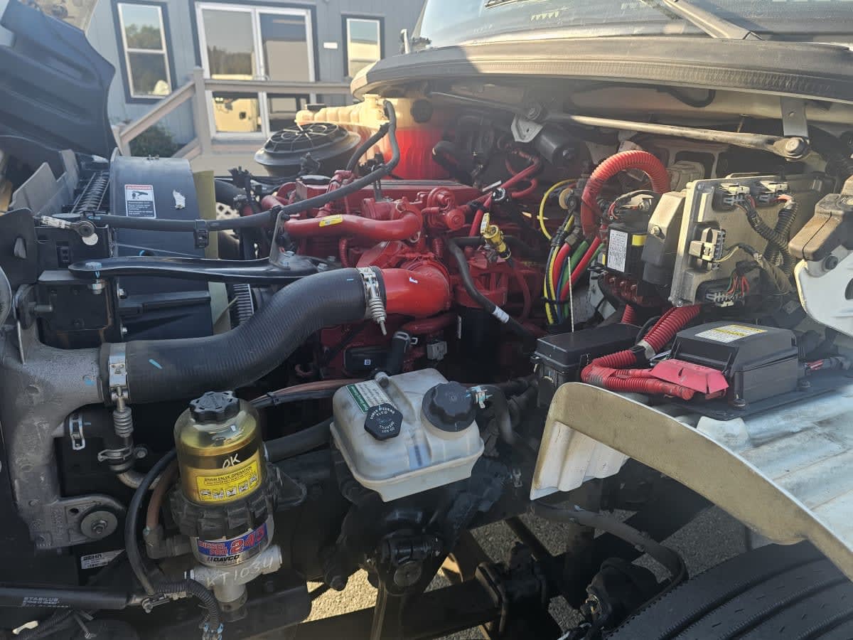 2019 Freightliner/Mercedes M2 106 861981