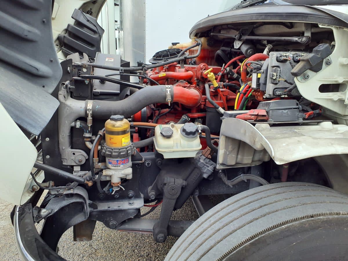 2019 Freightliner/Mercedes M2 106 862031