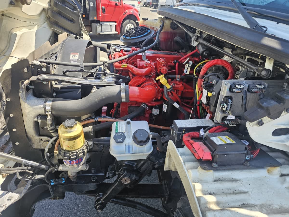 2019 Freightliner M2 106 862055