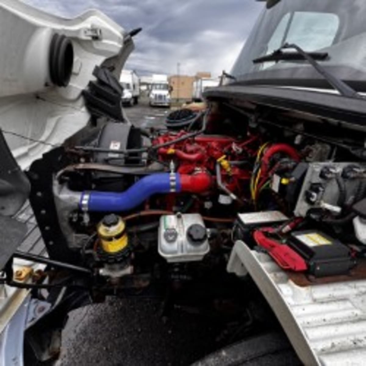 2019 Freightliner/Mercedes M2 106 862113