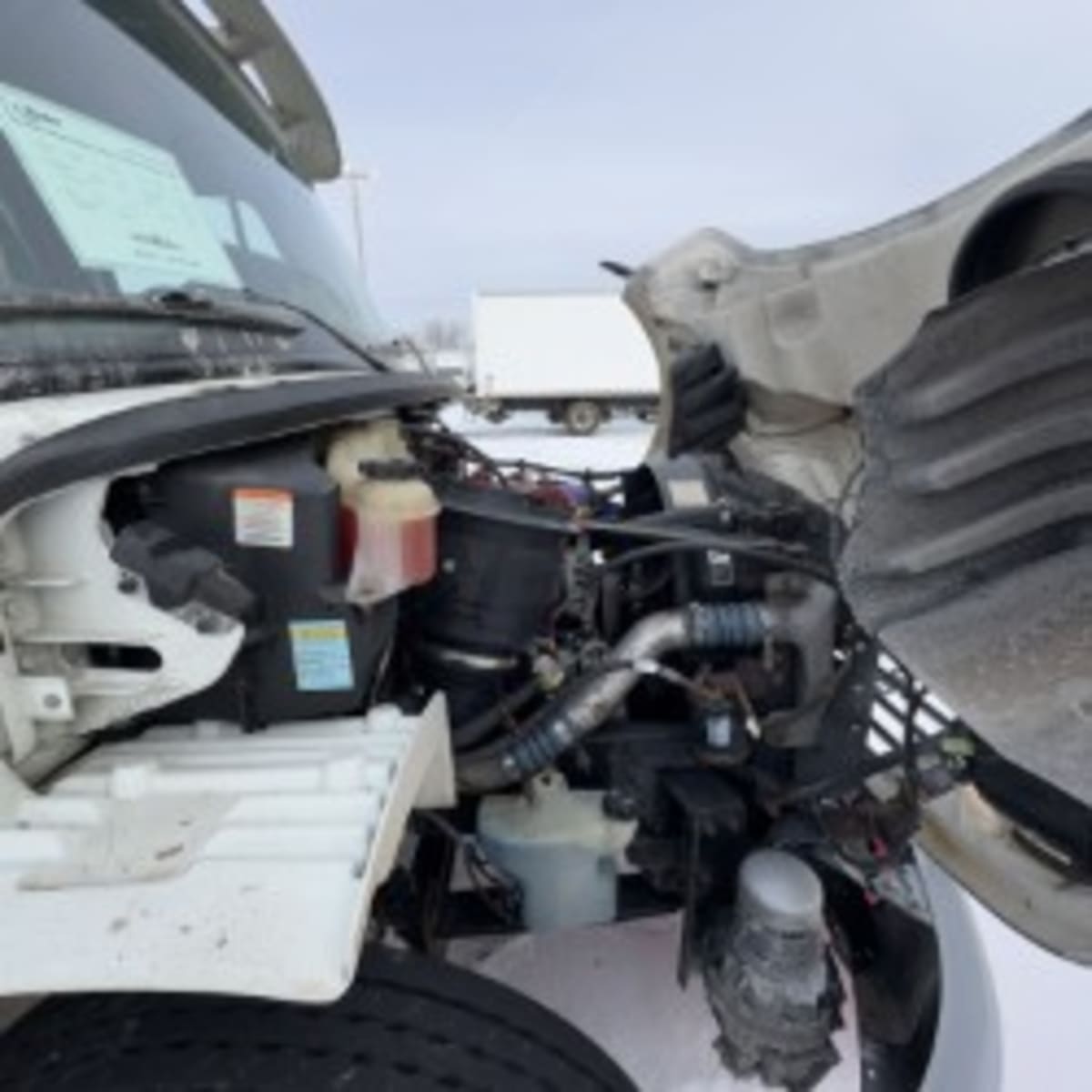 2019 Freightliner/Mercedes M2 106 862123